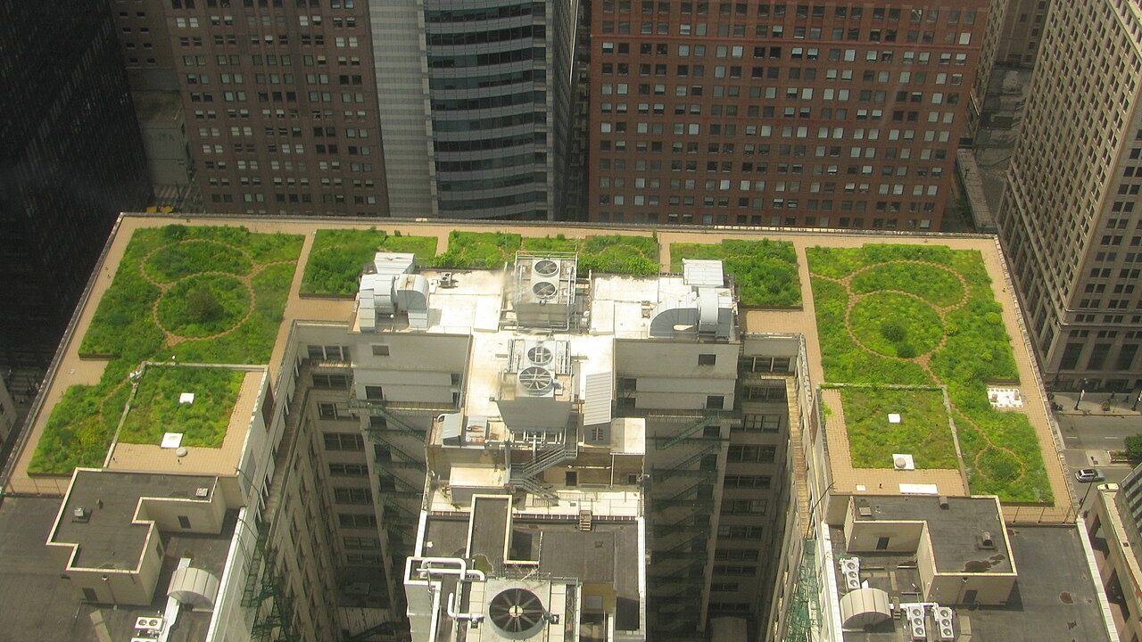 Green roof planted on top of a city hall building