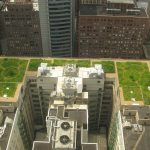 Green roof planted on top of a city hall building