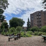 Volunteer-run community garden with raised beds and benches