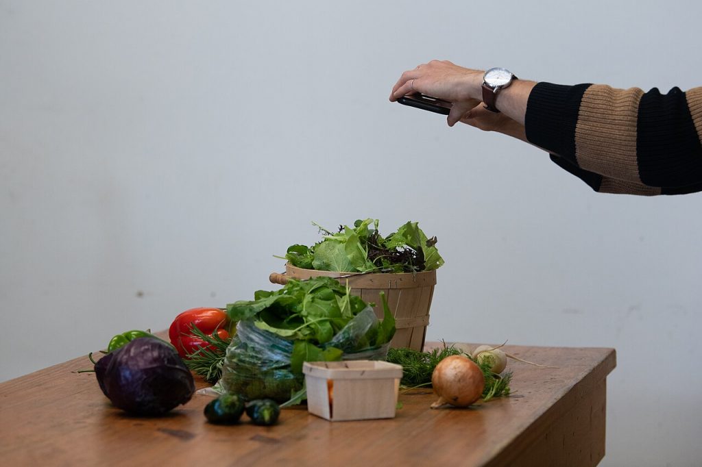 Freshly harvested vegetables from an urban market garden