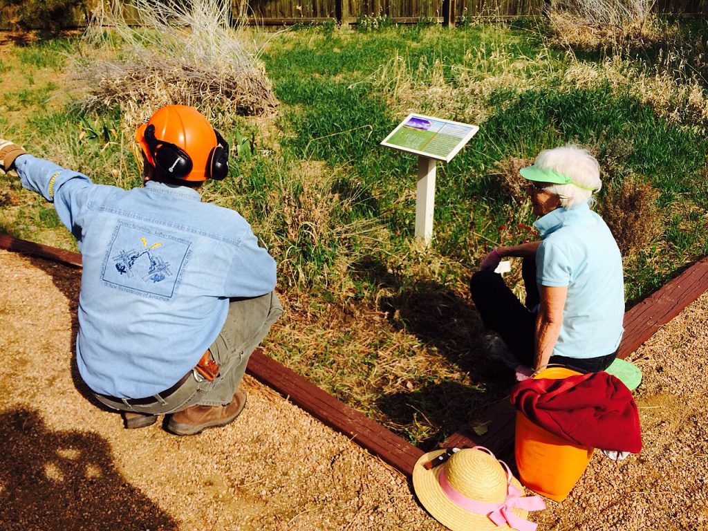 Earth Day volunteers planting in a restoration area