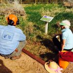 Earth Day volunteers planting in a restoration area