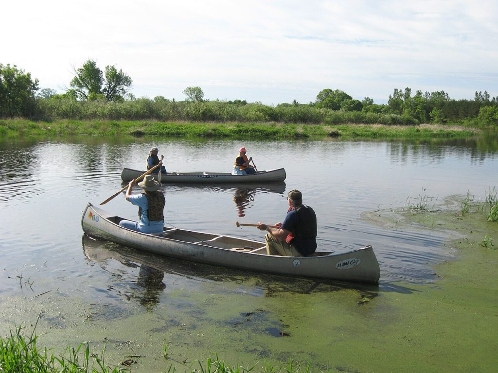 Volunteers in canoes collecting litter during a river cleanup