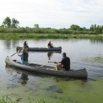 Volunteers in canoes collecting litter during a river cleanup