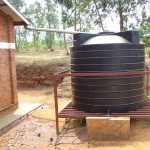 Rainwater collection tank connected to a downspout