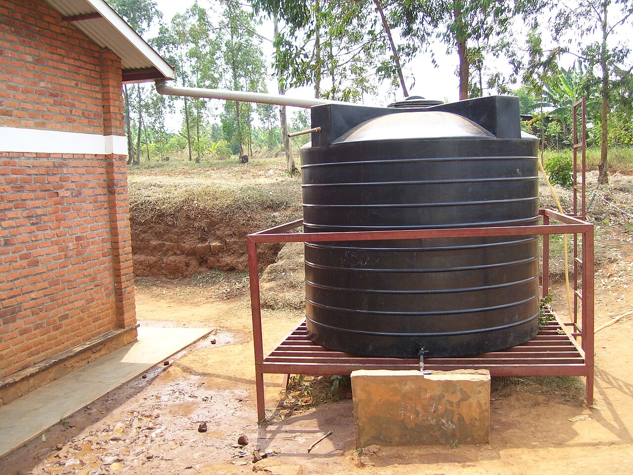 Rainwater collection tank connected to a downspout